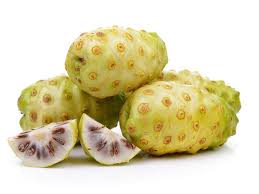 Buah mengkudu